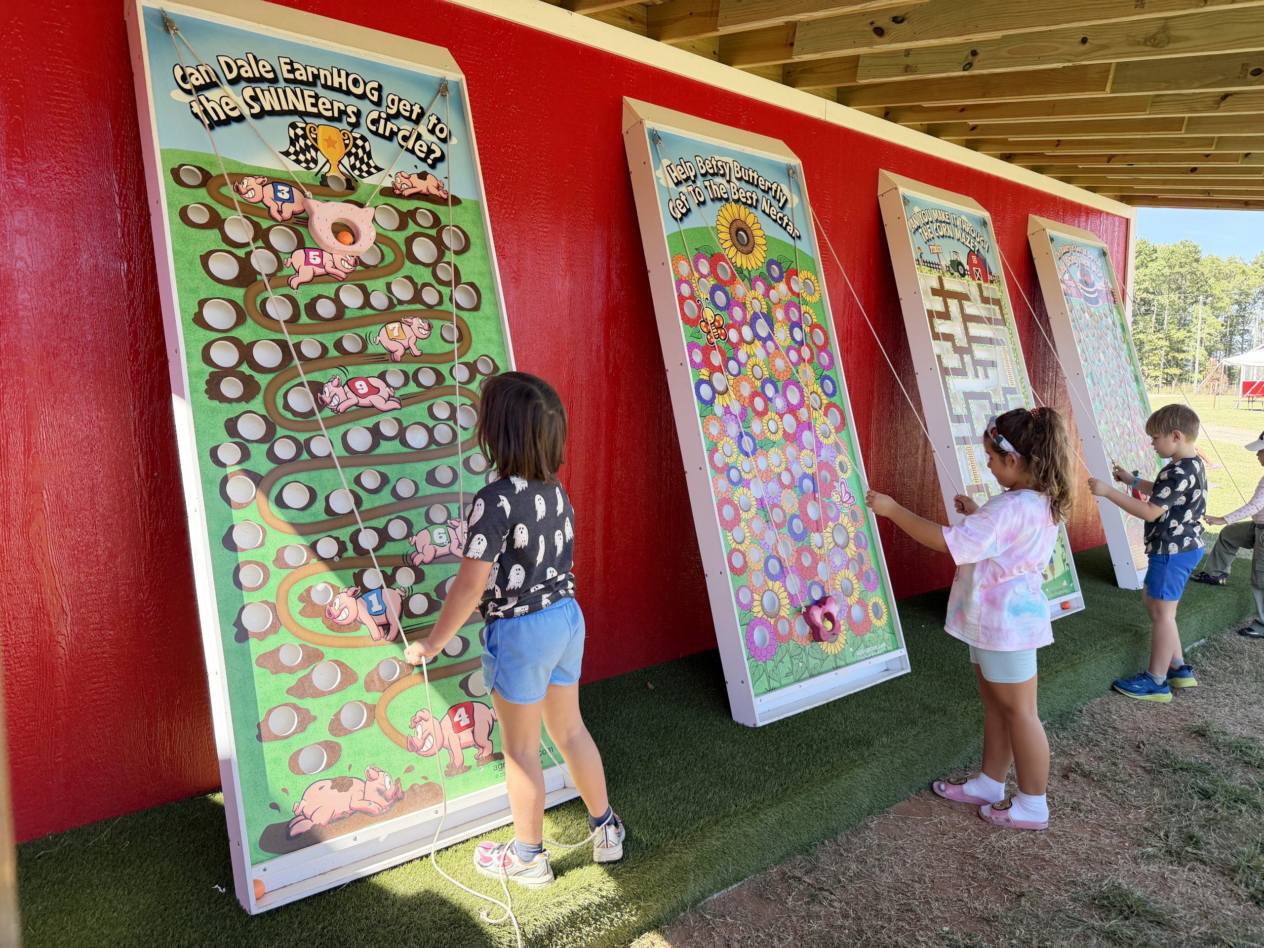 Wall Ball Maze